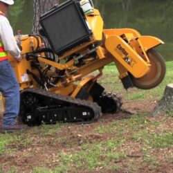 Commercial Stump Removal Service in Thurmont MD 3