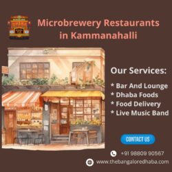 Microbrewery Restaurants in Kammanahalli_httpswww.thebangaloredhaba.com