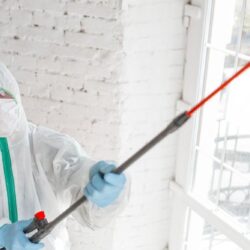 Commercial Mold Inspections Service in Pittsburgh PA 1