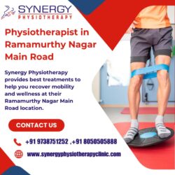 Physiotherapist in Ramamurthy Nagar Main Road_synergyphysiotherapyclinic_com