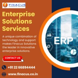 Enterprise Solutions Services