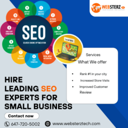 _Hire Leading SEO Experts For Small Business  (1)