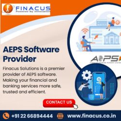 AEPS Software Provider
