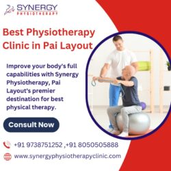 Best Physiotherapy Clinic in Pai Layout_synergyphysiotherapyclinic_com