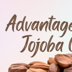 Jojoba Oil  b1