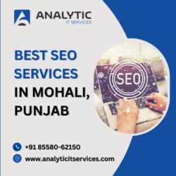 Analytic It services