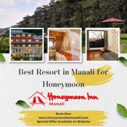 Best Resort in Manali for Honeymoon