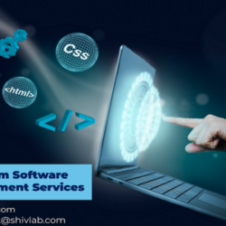 Best Custom Software Development Services