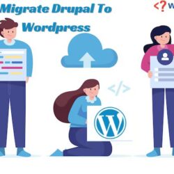 Migrate drupal to Wordpress