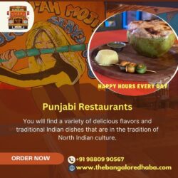 North Indian Restaurants