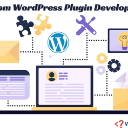 custom wordpress plugin development
