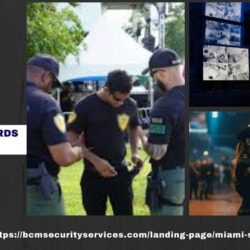 Security Guards Miami Fl 3