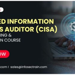 CISA Certification Training Online