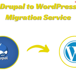 drupal to wordpress migration service