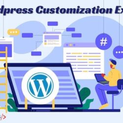 wordpress customization expert