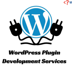 WordPress Plugin Development Services