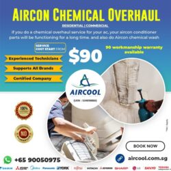 AIRCON CHEMICAL OVERHAUL