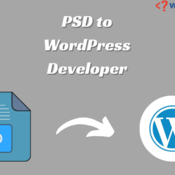 psd to wordpress developer