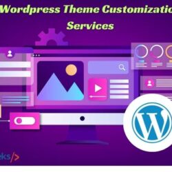 wordpress theme customization services