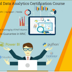 Data Analytics Course in Delhi