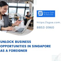 Company Registration in Singapore